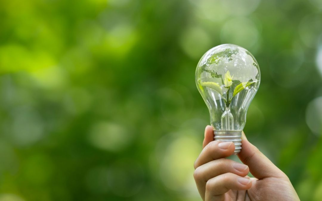 Sustentabilidad empresarial: cómo optimizar operaciones y fortalecer la cultura organizacional