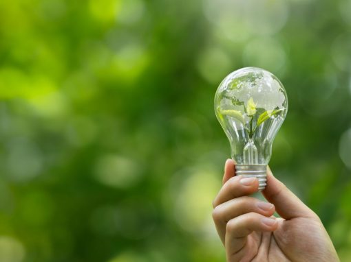 Sustentabilidad empresarial: cómo optimizar operaciones y fortalecer la cultura organizacional
